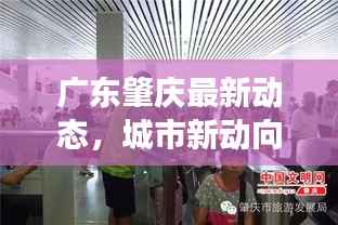 广东肇庆最新动态,城市新动向与发展亮点聚焦头条新闻