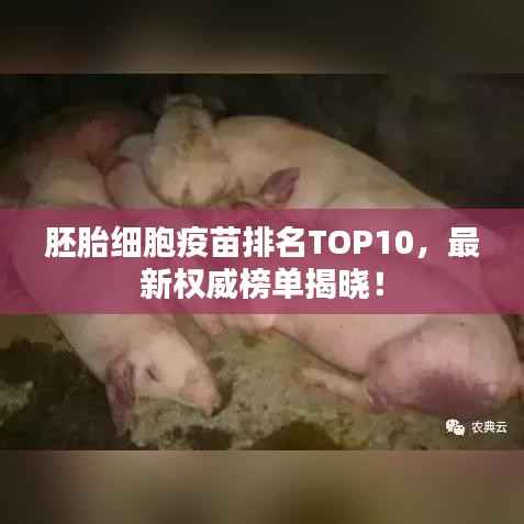 胚胎细胞疫苗排名TOP10,最新权威榜单揭晓!