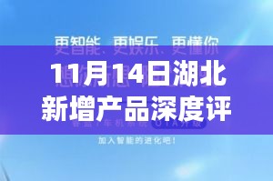 11月14日湖北新增产品深度评测，特性、体验与竞品对比全解析