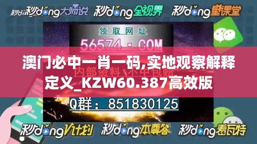 澳门必中一肖一码,实地观察解释定义_KZW60.387高效版