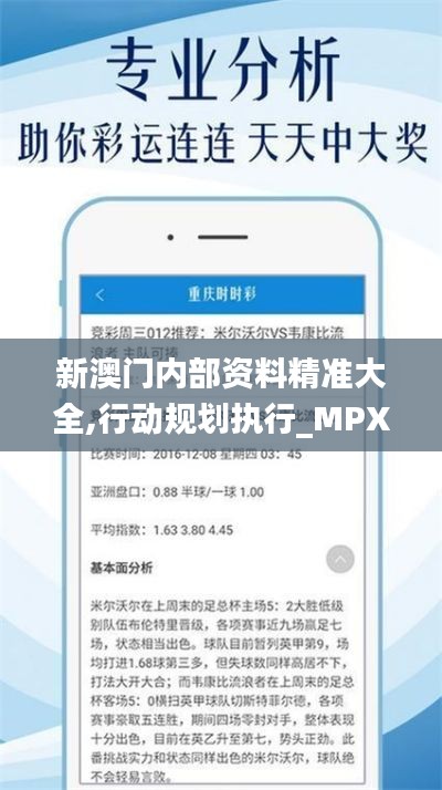 新澳门内部资料精准大全,行动规划执行_MPX60.157业界版