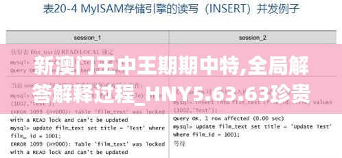 新澳门王中王期期中特,全局解答解释过程_HNY5.63.63珍贵版