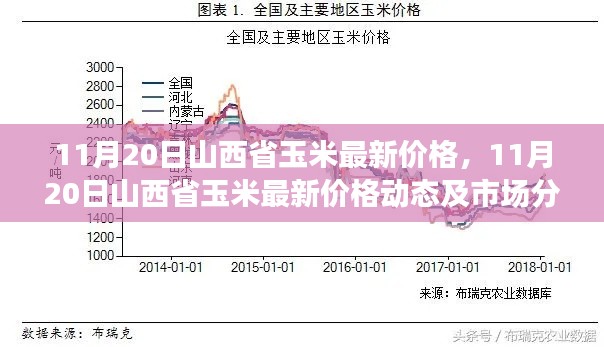 山西省玉米最新价格动态及市场分析（11月20日）