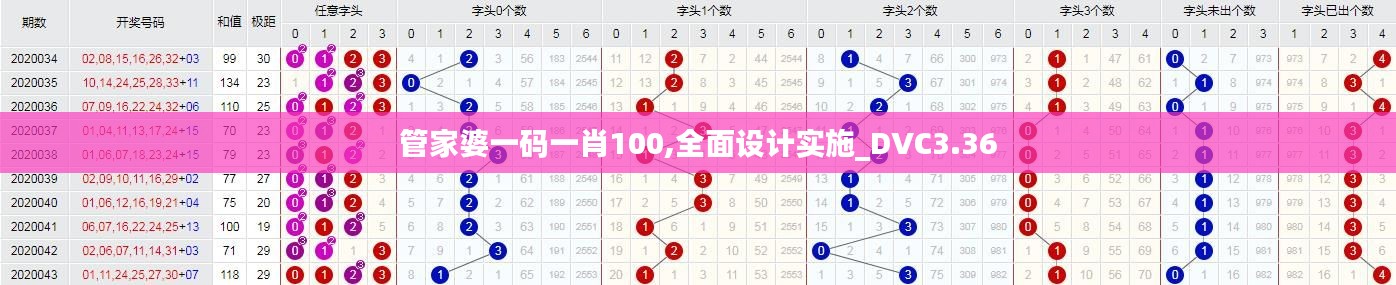 管家婆一码一肖100,全面设计实施_DVC3.36