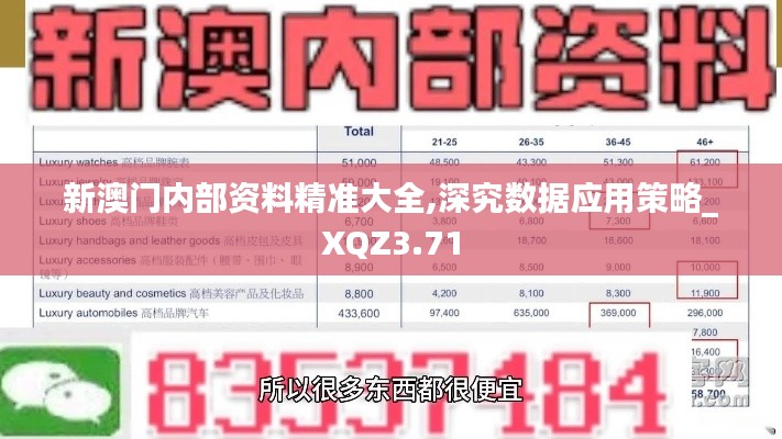 新澳门内部资料精准大全,深究数据应用策略_XQZ3.71