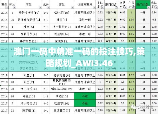 澳门一码中精准一码的投注技巧,策略规划_AWI3.46