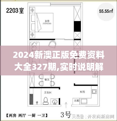 2024新澳正版免费资料大全327期,实时说明解析信息_NCP3.17