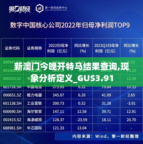 新澳门今晚开特马结果查询,现象分析定义_GUS3.91