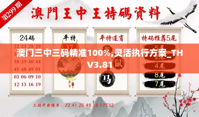 澳门三中三码精准100%,灵活执行方案_THV3.81