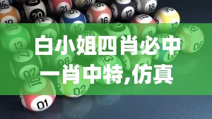 白小姐四肖必中一肖中特,仿真方案实施_HKI3.84