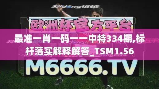 最准一肖一码一一中特334期,标杆落实解释解答_TSM1.56