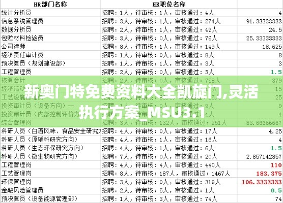 新奥门特免费资料大全凯旋门,灵活执行方案_MSU3.1