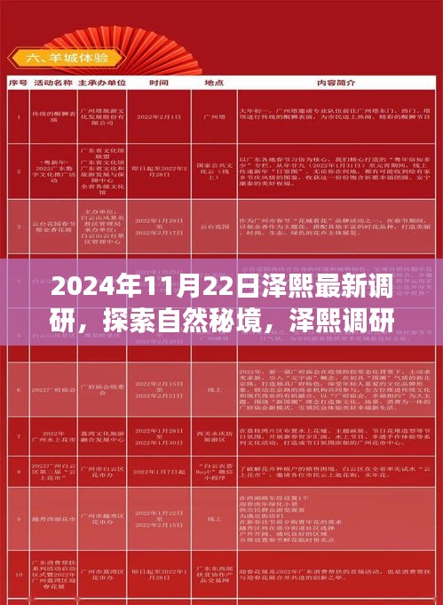 2024年11月22日泽熙最新调研，探索自然秘境，泽熙调研之旅，一场寻找内心平静的奇妙探险