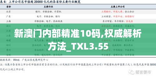 新澳门内部精准10码,权威解析方法_TXL3.55