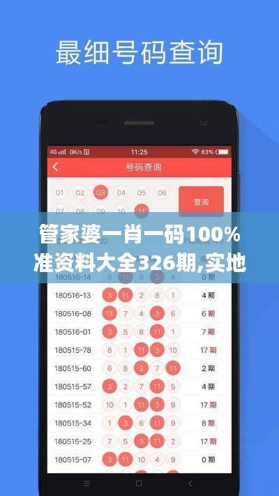 管家婆一肖一码100%准资料大全326期,实地数据评估设计_XTP8.28