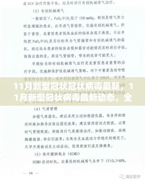 11月新型冠状冠状病毒最新，11月新型冠状病毒最新动态，全球防控进展与科研突破