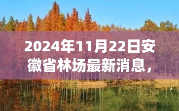 2024年11月22日安徽省林场最新消息，2024年安徽省林场最新动态分析，某某观点的视角探讨