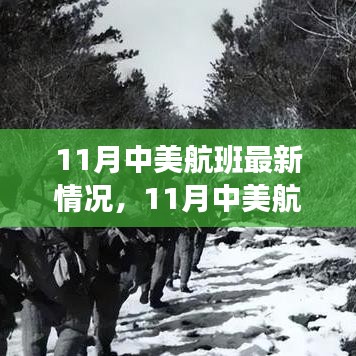 11月中美航班最新情况，11月中美航班最新情况，探索航空新动态，洞悉出行新变化