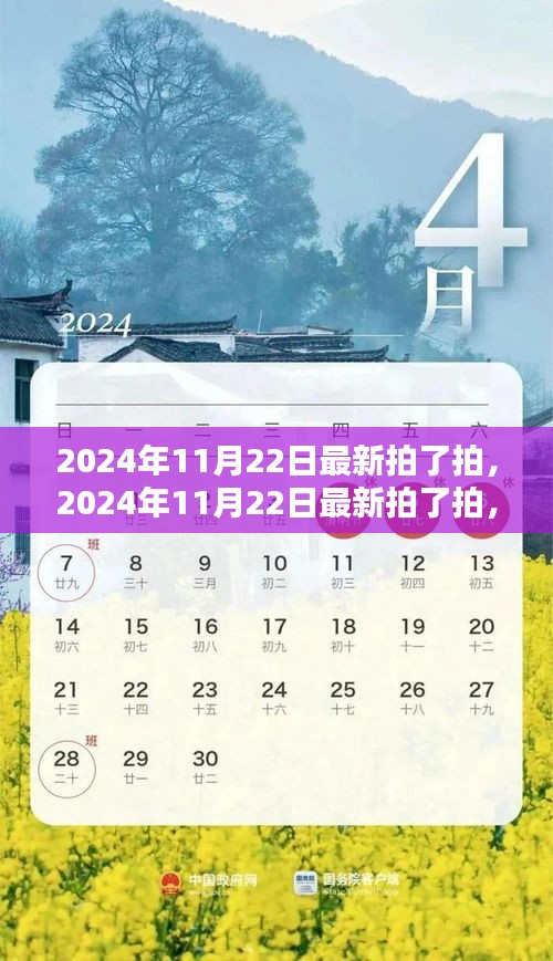 探索数字时代全新互动营销方式，最新拍拍活动在2024年11月22日揭晓