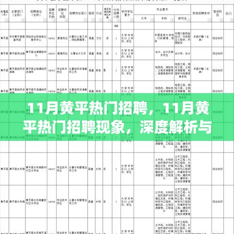 11月黄平热门招聘，11月黄平热门招聘现象，深度解析与观点阐述