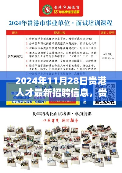 贵港人才最新招聘信息概览，职场前景与个人选择分析（2024年11月28日）