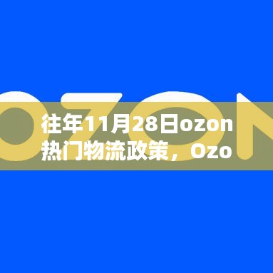 历年11月28日Ozon物流政策回顾，影响与地位分析