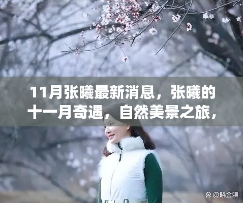 11月张曦最新消息，张曦的十一月奇遇，自然美景之旅，寻找内心的桃花源