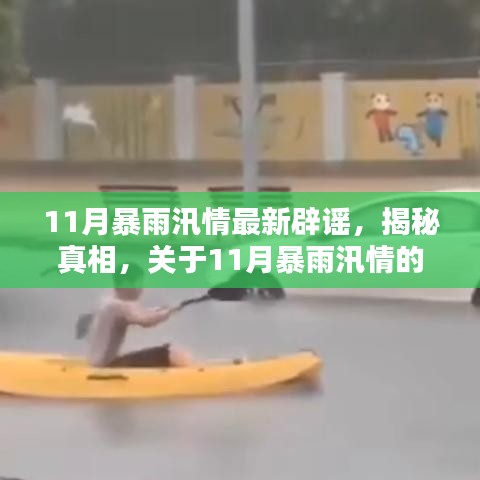 揭秘真相，关于11月暴雨汛情的最新辟谣汇总报道