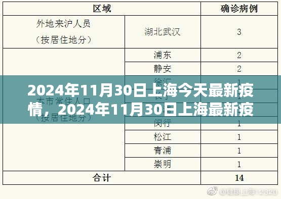 2024年11月30日上海今天最新疫情，2024年11月30日上海最新疫情防控报告