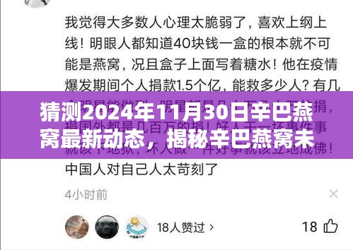 揭秘辛巴燕窝未来走向，最新动态指南预测辛巴燕窝在2024年11月30日的最新动态展望