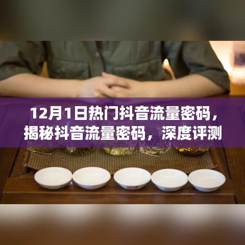 揭秘12月1日抖音流量密码，深度解析与策略评测