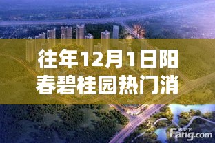 阳春碧桂园历年1月1日热门消息回顾