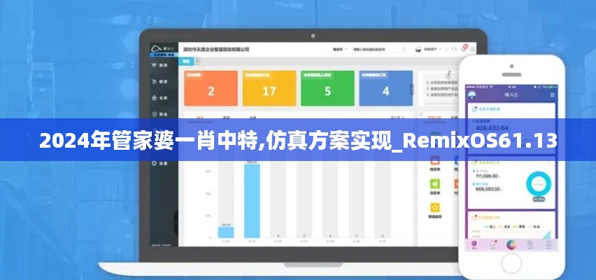 2024年管家婆一肖中特,仿真方案实现_RemixOS61.130