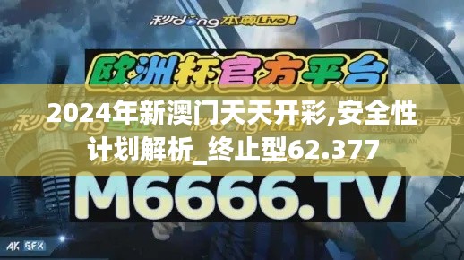 2024年新澳门天天开彩,安全性计划解析_终止型62.377