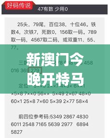 新澳门今晚开特马结果查询,权威评估解析_豪华款88.264