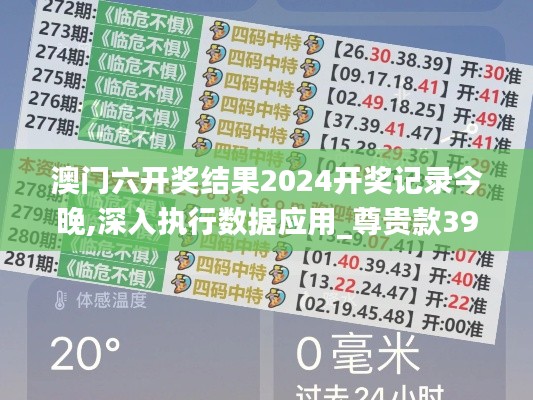 澳门六开奖结果2024开奖记录今晚,深入执行数据应用_尊贵款39.155