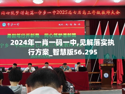 2024年一肖一码一中,见解落实执行方案_智慧版56.295