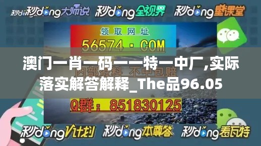 澳门一肖一码一一特一中厂,实际落实解答解释_The品96.05