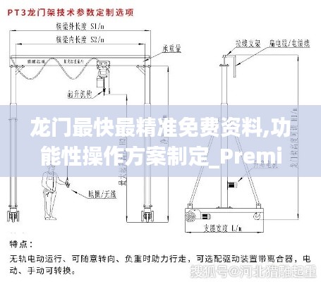 龙门最快最精准免费资料,功能性操作方案制定_Premium86.969