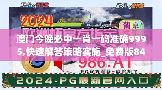 澳门今晚必中一肖一码准确9995,快速解答策略实施_免费版84.164