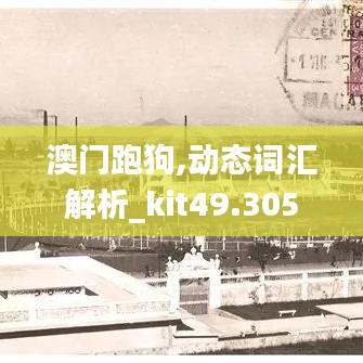 澳门跑狗,动态词汇解析_kit49.305