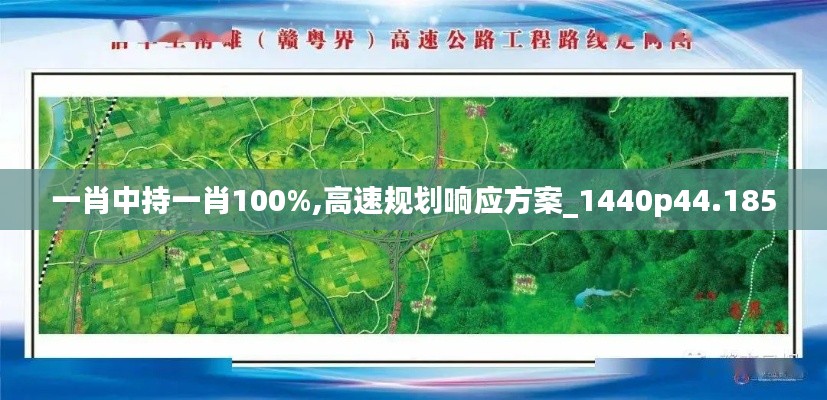 一肖中持一肖100%,高速规划响应方案_1440p44.185