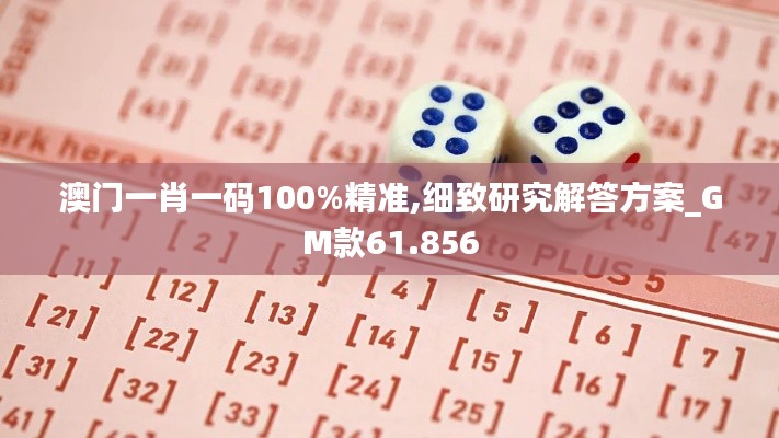 澳门一肖一码100%精准,细致研究解答方案_GM款61.856