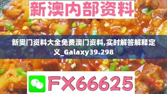 新奥门资料大全免费澳门资料,实时解答解释定义_Galaxy39.298