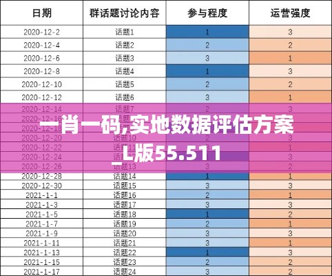 一肖一码,实地数据评估方案_L版55.511