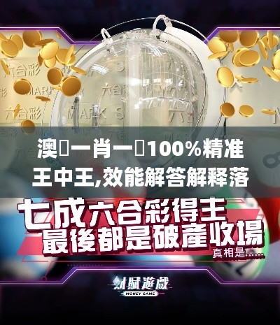 澳門一肖一碼100%精准王中王,效能解答解释落实_CT64.262