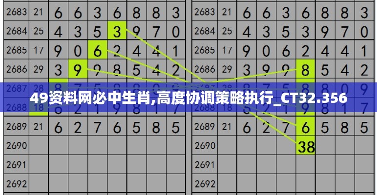 49资料网必中生肖,高度协调策略执行_CT32.356