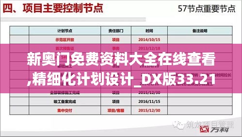 新奥门免费资料大全在线查看,精细化计划设计_DX版33.214