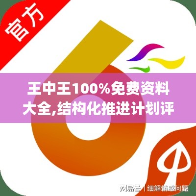 王中王100%免费资料大全,结构化推进计划评估_云端版43.67