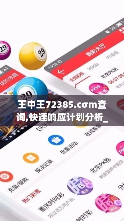 王中王72385.cσm查询,快速响应计划分析_粉丝款65.424